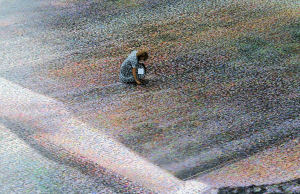 An aerial shot of the world's biggest photo mosaic